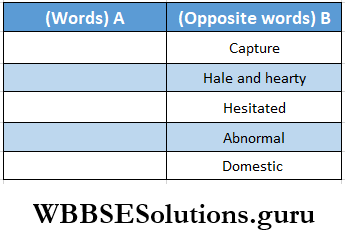 WBBSE Solutions For Class 8 English Reading Skill Seen Lesson 4 The Great Escape Write Words In A From The Text B