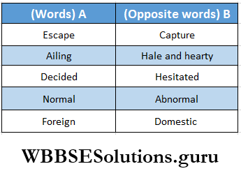 WBBSE Solutions For Class 8 English Reading Skill Seen Lesson 4 The Great Escape Write Words In A From The Text B Answer