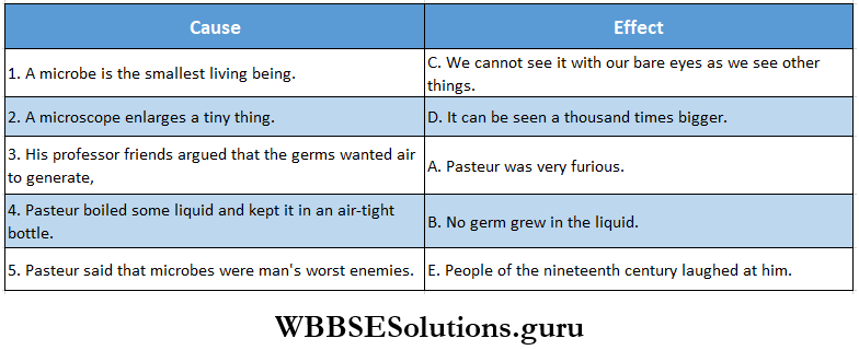 WBBSE Solutions For Class 8 English Reading Skill Unseen Detailed Reading Complete Cause And Effect Answer