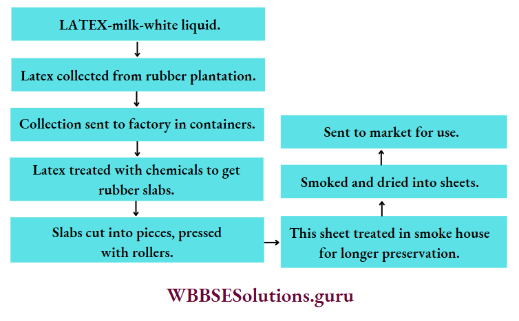 WBBSE Solutions For Class 8 English Writing Skills Paragraph Writing Processing Of Solid Rubber From Rubber Plants