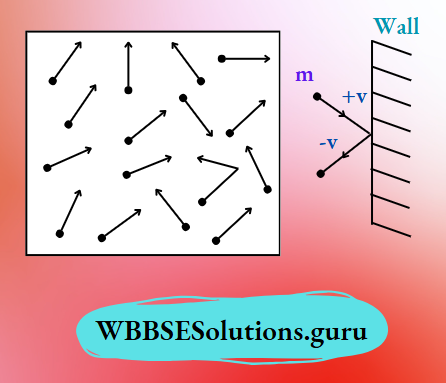 WBBSE Solutions For Class 10 Physical Science And Environment Chapter 2 Behaviour Of Gases Random Motion Of Gas Molecules