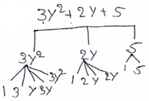 Algebra Algebraic Expression Into Factor Term