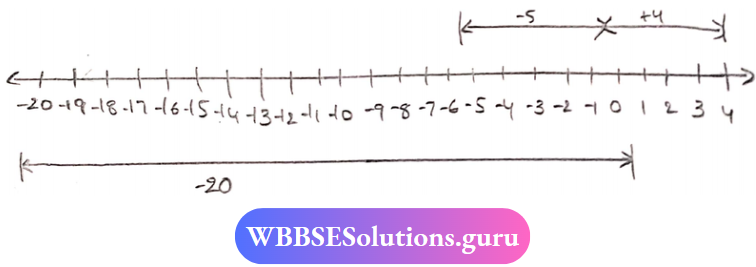 Algebra Number Line At -5, 4 And -20