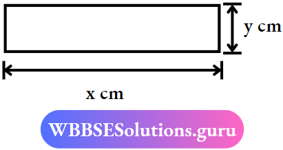 Rectangle Dimensions