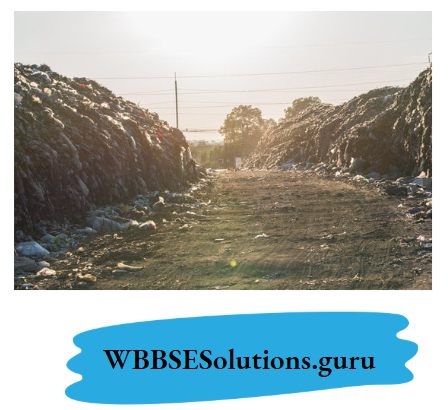WBBSE Notes For Class 10 Chapter 4 Waste Management Landfill