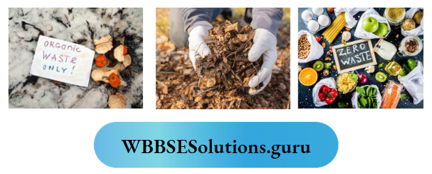 WBBSE Notes For Class 10 Chapter 4 Waste Management Organic Biomedical and Radioactive Wastes
