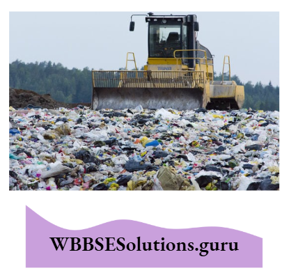WBBSE Notes For Class 10 Chapter 4 Waste Management Solid Wastes