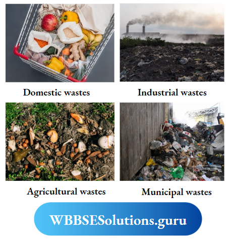 WBBSE Notes For Class 10 Chapter 4 Waste Management Sources Of Wastes