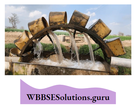 WBBSE Notes For Class 10 Geography Chapter 5 India Persian Wheel