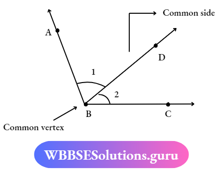 WBBSE Solutions For Class 7 Maths Geometry Chapter 1 Revision Of Old Lesson Adjacent Angle