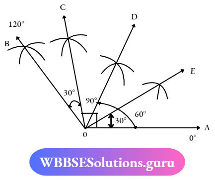 WBBSE Solutions For Class 7 Maths Geometry Chapter 1 Revision Of Old Lesson An Angle 120 Degees With Four Equal Parts With The Help Of Compass And Protractor