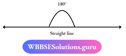 WBBSE Solutions For Class 7 Maths Geometry Chapter 1 Revision Of Old Lesson Straight Line