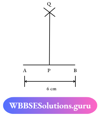 WBBSE Solutions For Class 7 Maths Geometry Chapter 1 Revision Of Old Lesson The Line Segment AB And Draw A Perpendicular PQ On AB At P