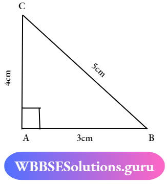 WBBSE Solutions For Class 7 Maths Geometry Chapter 3 Properties Of Triangle The Length Three Sides Of the Triangle Is Right Angled Triangle