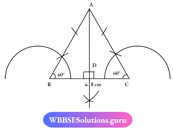 WBBSE Solutions For Class 7 Maths Geometry Chapter 4 Construction Of Triangles A Isoseles Triangle ABC