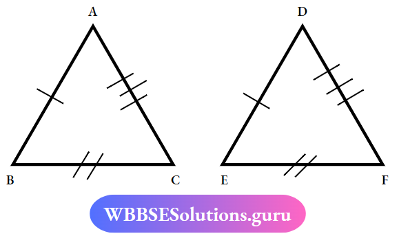 WBBSE Solutions For Class 7 Maths Geometry Chapter 5 Concept Of Congruency SSS Congruency Of Triangle