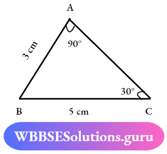 WBBSE Solutions For Class 7 Maths Geometry Chapter 5 Concept Of Congruency The Triangles Are Congruent 1