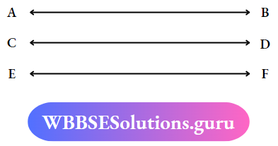 WBBSE Solutions For Class 7 Maths Geometry Chapter 6 Parallel Lines And Transversal Straight Lines