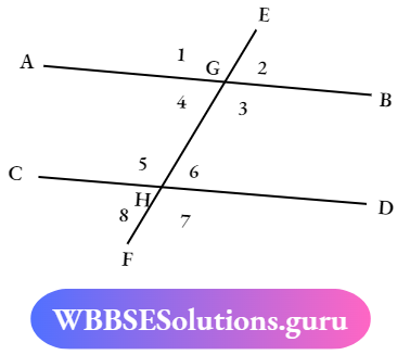 WBBSE Solutions For Class 7 Maths Geometry Chapter 6 Parallel Lines And Transversal Write Down The Pairs Of Corresponding Angles