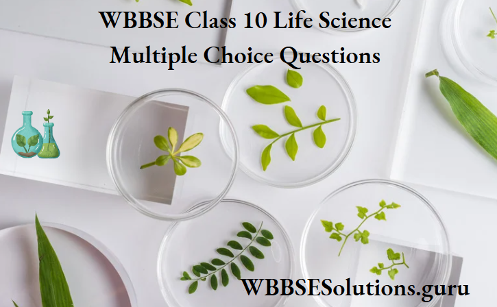WBBSE Class 10 Life Science MCQs with answers