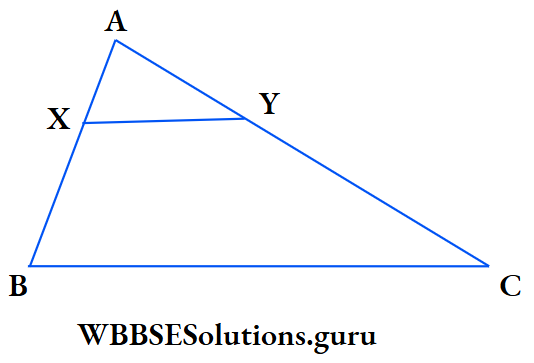 WBBSE Class 10 Maths Geometry Chapter 3 Similarity Example 1