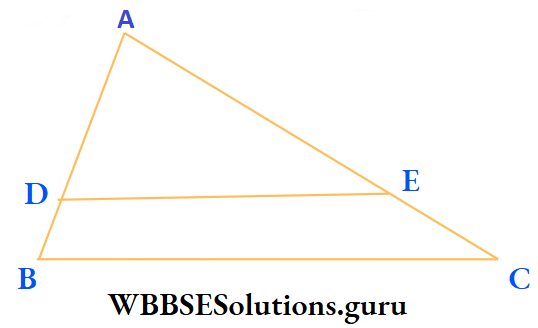 WBBSE Class 10 Maths Geometry Chapter 3 Similarity Example 2