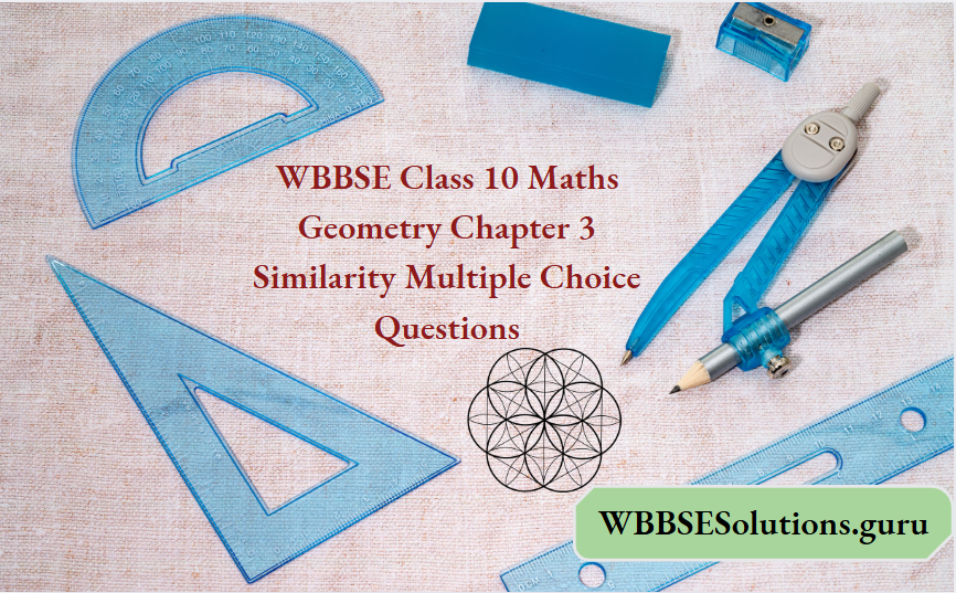 WBBSE Class 10 Maths Geometry Chapter 3 Similarity Multiple Choice Questions