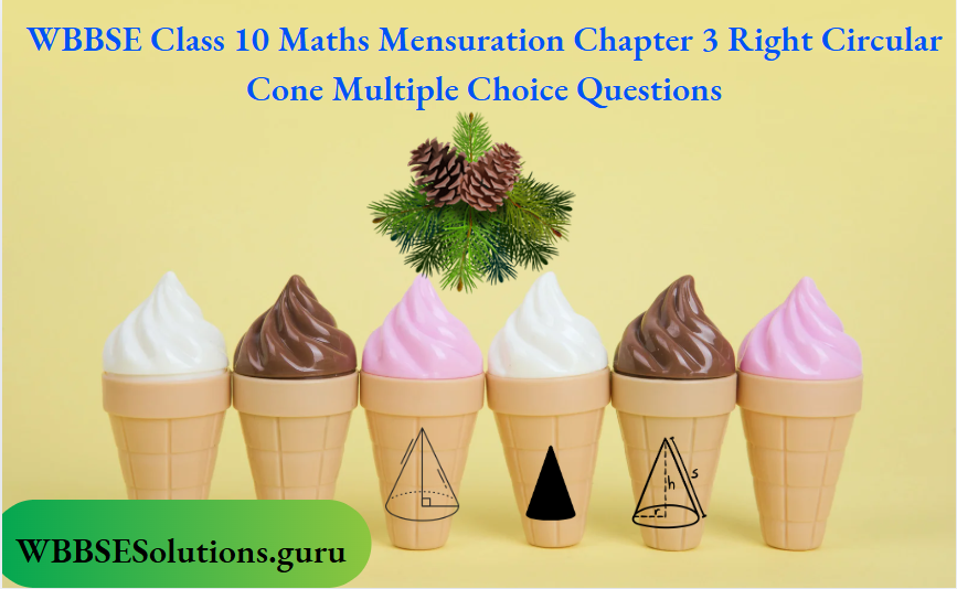 WBBSE Class 10 Maths Mensuration Chapter 3 Right Circular Cone Multiple Choice Questions