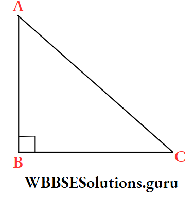 WBBSE Class 10 Maths Trigonometry Chapter 4 Application Of Trigonometric Ratios Height And Distance Example 8