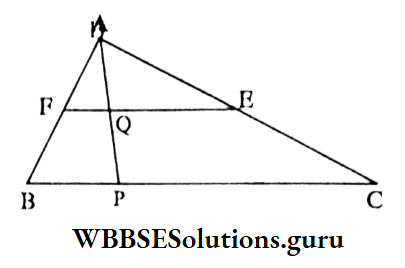 WBBSE Class 9 Maths Geometry Chapter 2 In Triangle ABC The Length Of AQ Is 6 cm
