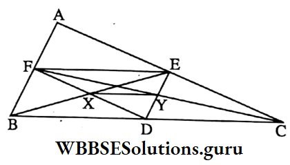 WBBSE Class 9 Maths Geometry Chapter 2 In Triangle ABC The Length Of XY Is Equal To 1 By 4 BC
