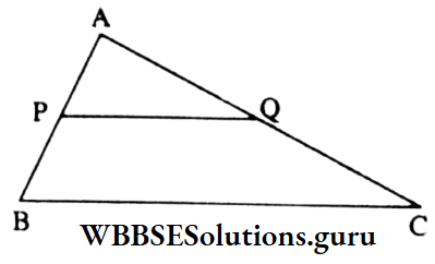 WBBSE Class 9 Maths Geometry Chapter 2 In Triangle ABC The Value Of Angle APQ Is 60 Degrees