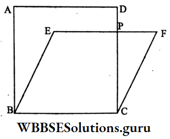 WBBSE Class 9 Maths Mensuration Chapter 1 Rhombus And Sqaure Same Base