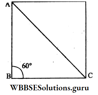 WBBSE Class 9 Maths Mensuration Chapter 1 Rhombus