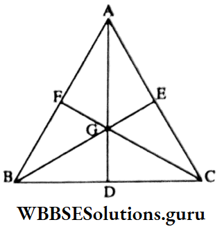 WBBSE-Solutions-For-Class-9-Maths-Geometry-Chapter-4-Theorems-On-Concurrence-In-Equilateral-Triangle-Circumcentre-And-Centriod-Are-Coincide